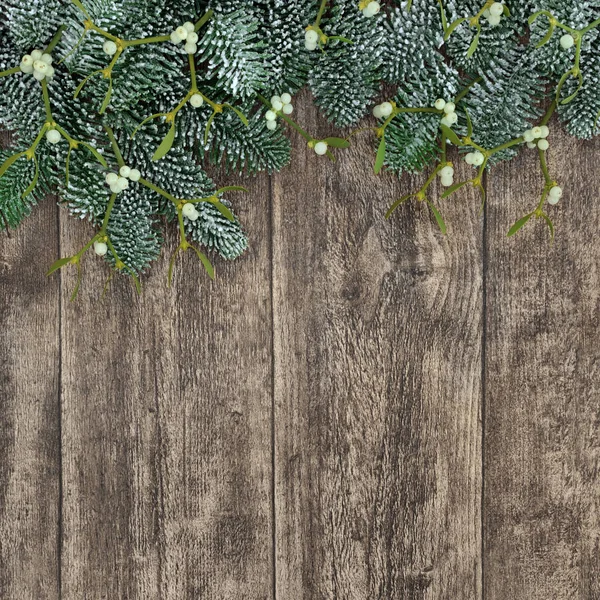 Spruce Fir and Mistletoe Background — Stock Photo, Image