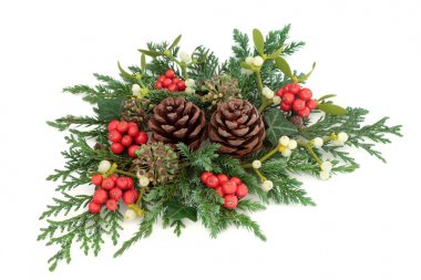 Holly ve kış yeşil