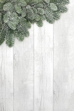 Ladin köknar arka plan sınırı