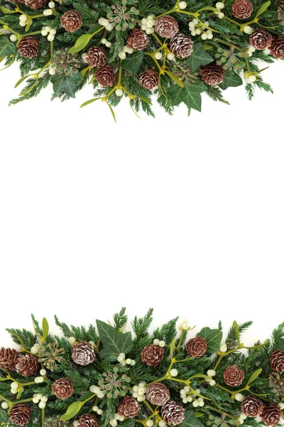 Mistletoe and Juniper Fir Border — Stock Photo, Image