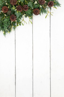 Kış yeşil sınır