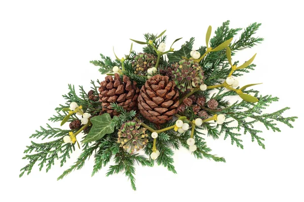 Winter Greenery Decoration — Stock Photo, Image
