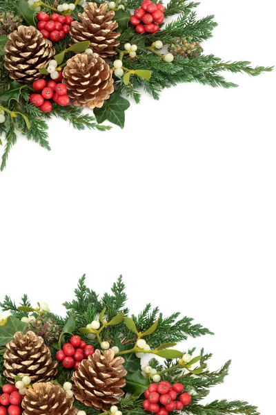 stock image Christmas Decorative Border