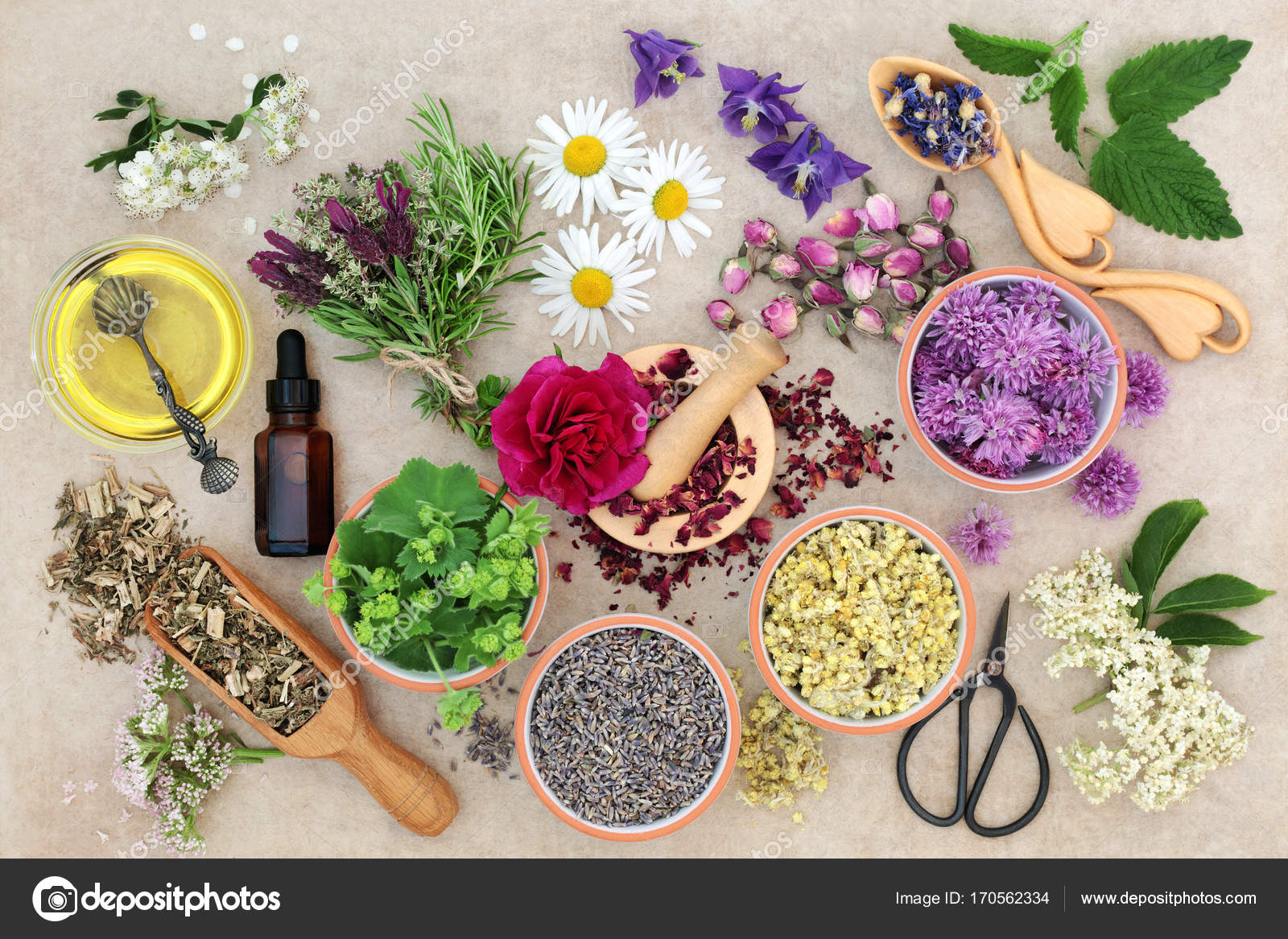 Natural Herbal Medicine Stock Photo by ©marilyna 170562334