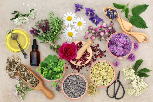 Medicina natural a base de hierbas — Foto de Stock