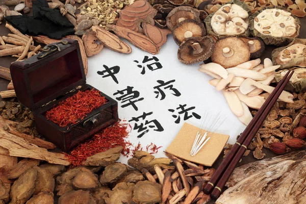 Terapia herbal chinesa — Fotografia de Stock