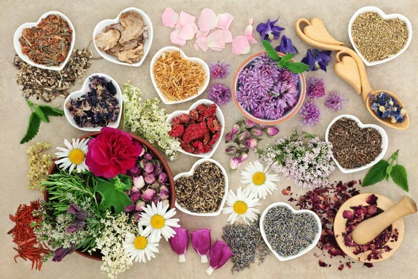 Erbe medicinali e fiori — Foto Stock