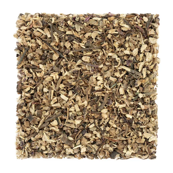 Korzeń Echinacea Herb — Zdjęcie stockowe