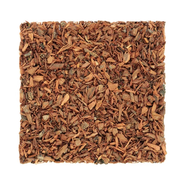 Pygeum Bark Herb — Stock Photo, Image