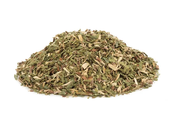 Thuja Leaf Herb — Stock Photo, Image