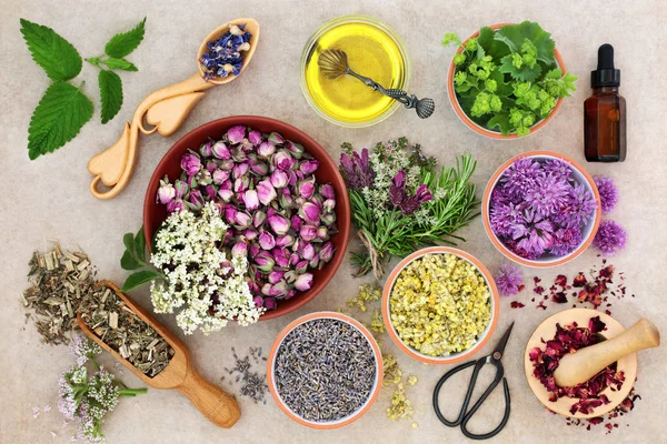Preparación de la medicina herbal — Foto de Stock