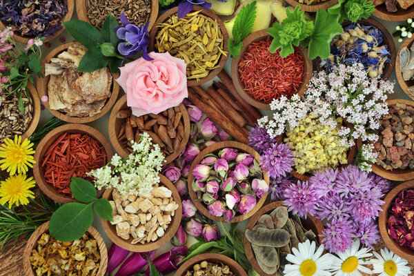 Herbal Medicine Background