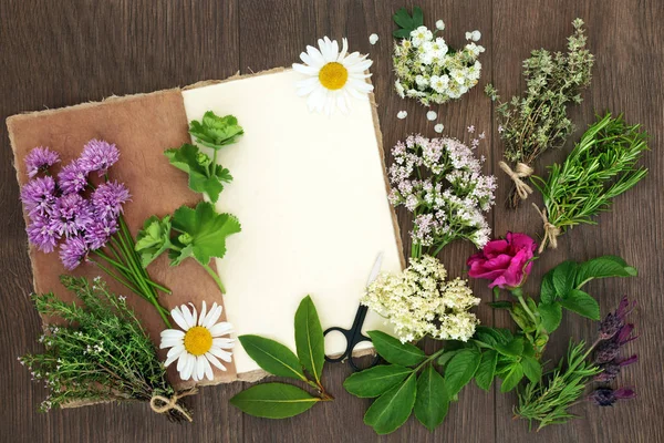 Herbs for Herbal Medicine — Stock Photo, Image