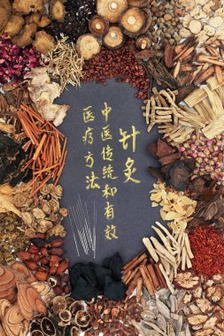 Chinese acupuncture needles with herbs and calligraphy script in gold. Translation reads as acupuncture chinese traditional and effective medical treatment solution method. Top view. clipart
