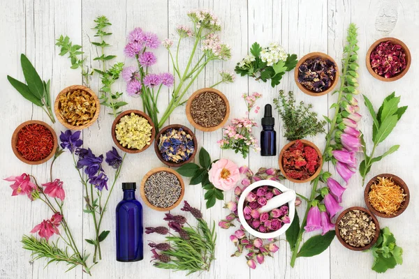 Natural Herbal Medicine — Stock Photo, Image