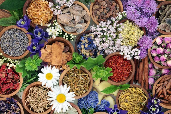Medicina herbal com ervas e flores — Fotografia de Stock