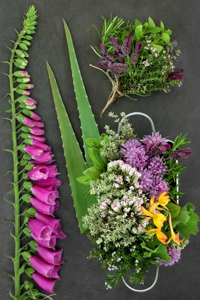 Herbs and Flowers for Herbal Medicine — Stock Photo, Image