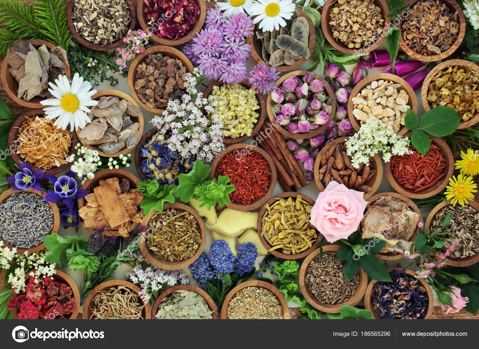 Herbal Medicine Background Stock Photo by ©marilyna 186565296