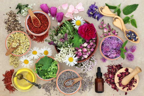 Preparación de la medicina herbal — Foto de Stock