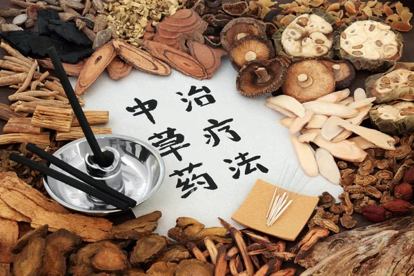 Terapia herbal chinesa — Fotografia de Stock