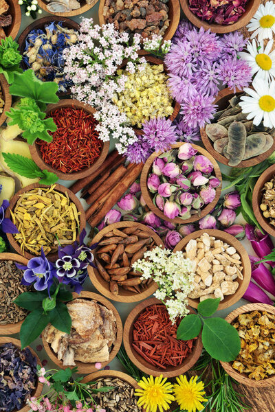Medicinal herbs and flowers used in herbal medicine, homoeopathic and aromatherapy remedies forming a colourful background.