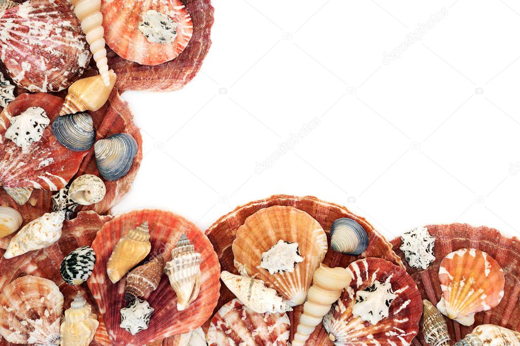 Seashell Abstract Background