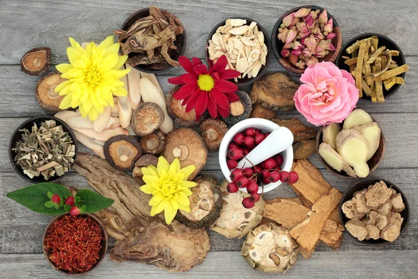 Traditional Chinese Herbs — Stock Photo, Image