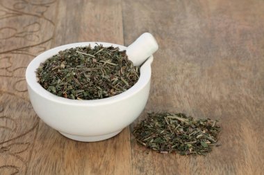 Zemin Sarmaşık Herb