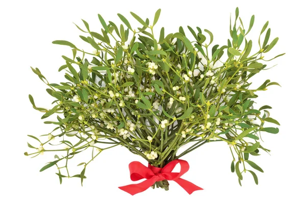 Mistletoe para a época festiva — Fotografia de Stock