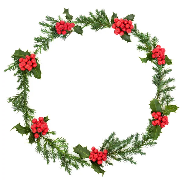 Christmas Holly and Juniper Wreath — ストック写真