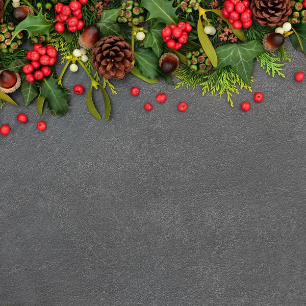 Kerst Winter en Nieuwjaar Grens met Wintergroen — Stockfoto