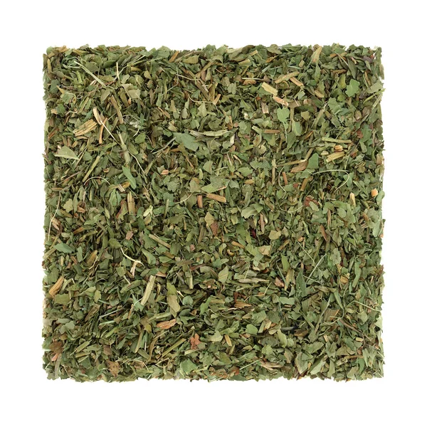 Bogbean Herb Herbal Medicine — Stock fotografie