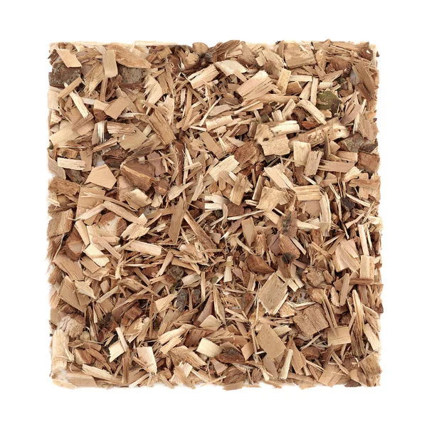 Poplar Bark Herb Herbal Medicine — ストック写真