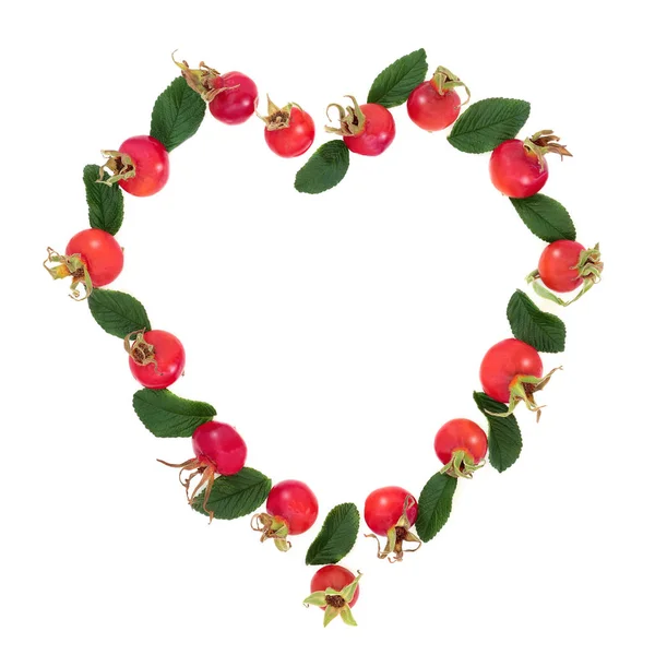 Heart Shaped Rosehip Wreath — Stock Photo, Image