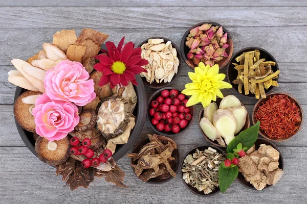 Médecine traditionnelle chinoise à base de plantes — Photo