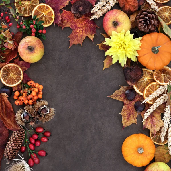 Herfst Oogst Festival Achtergrond Grens — Stockfoto