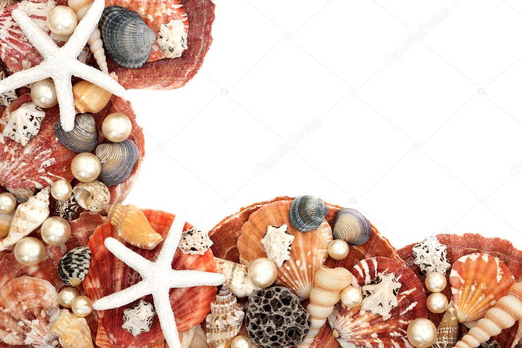 Abstract Seashell and Pearl Background Border Composition