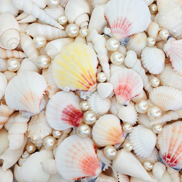 Abstract Seashell and Pearl Background — Stock Photo, Image