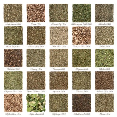 Alternatif bitkisel tıpta kullanılan büyük şifalı bitki seçimi