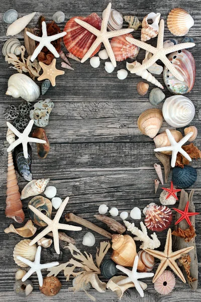 Abstract Composition of  Natural Seaside Objects — Stok fotoğraf