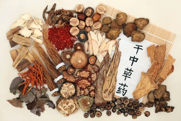 Hierbas secas utilizadas en la medicina herbal china . — Foto de Stock