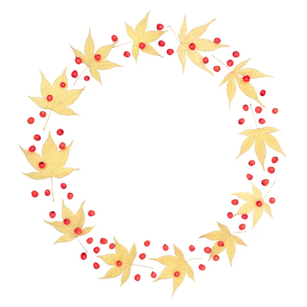 Golden Acer Leaf and Berry Wreath — 图库照片