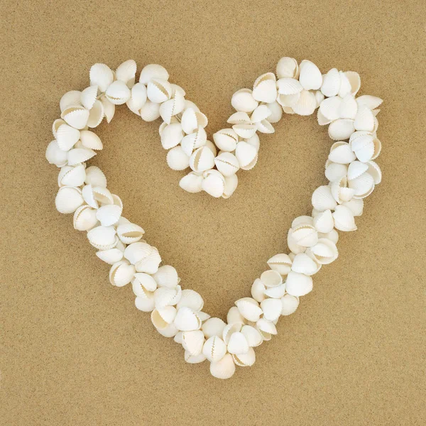 Heart Shaped Cockle Shell Wreath — Stock Photo, Image