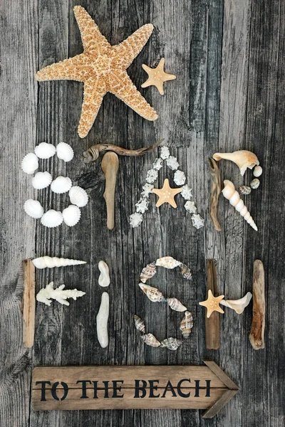 Abstract Composition Driftwood Seashells Pebbles Forming Word Starfish Loose Shells — Stock Photo, Image
