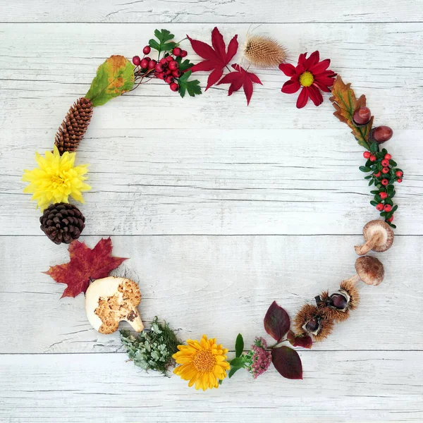 Herbstkranz Ernte Zusammensetzung Mit Einer Vielzahl Von Natürlichen Flora Und — Stockfoto