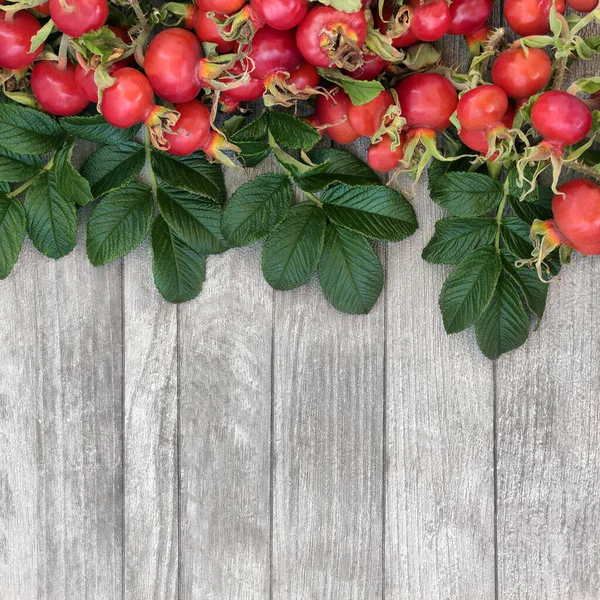 Rosehip Berry Fruit Forming Abstract Background Border Rustic Wood Very — Stock Photo, Image