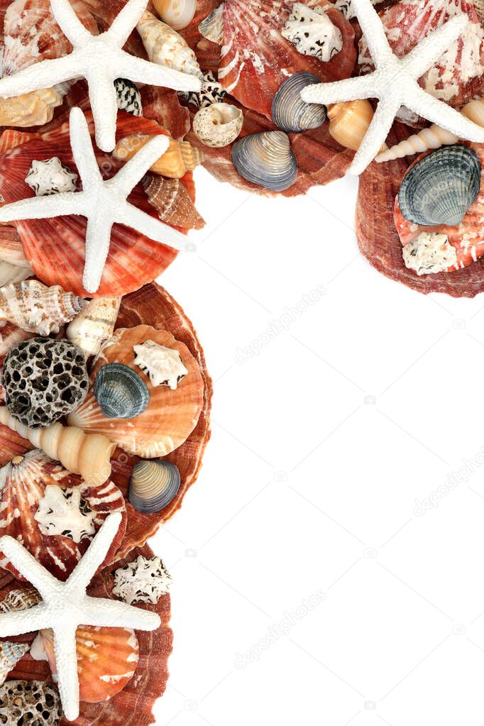 Seashell abstract with starfish, scallops and a large variety of shells on white background with copy space. Flat lay, top view.
