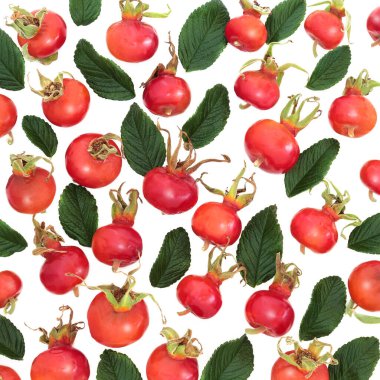 Rosehip böğürtlen bağışıklığı besinleri artırarak soyut bir arkaplan oluşturuyor. Yüksek miktarda C vitamini, likop, antosiyanin ve antioksidan. Rosa Rugosa.