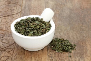 Romatizma, romatizma, romatizma, osteo eklem iltihabı, iştah kaybı ve iştah kaybı gibi hastalıkları tedavi etmek için kullanılan bir havan topuzlu bogfasülyesi yaprağı. Menyanthes trifoliata,