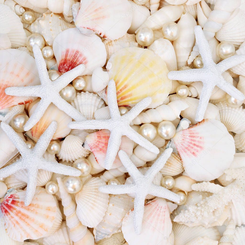 Starfish, scallop, oyster pearls and white shells forming an abstract background.